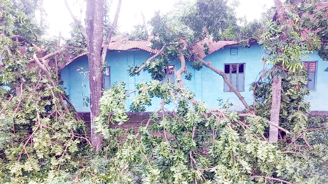 পীরগঞ্জে ঝড়ে ব্যাপক ক্ষয়ক্ষতি