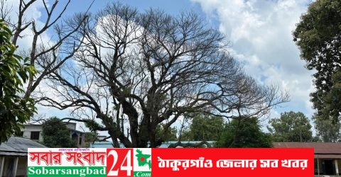 পীরগঞ্জ পাইলট উচ্চ বিদ্যালয়ে শিক্ষার পরিবেশ ফেরাবে কে