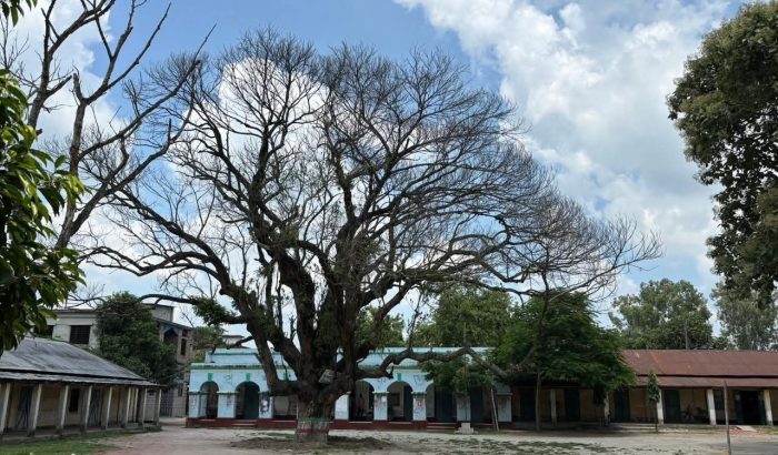 পীরগঞ্জ পাইলট উচ্চ বিদ্যালয়ে শিক্ষার পরিবেশ ফেরাবে কে